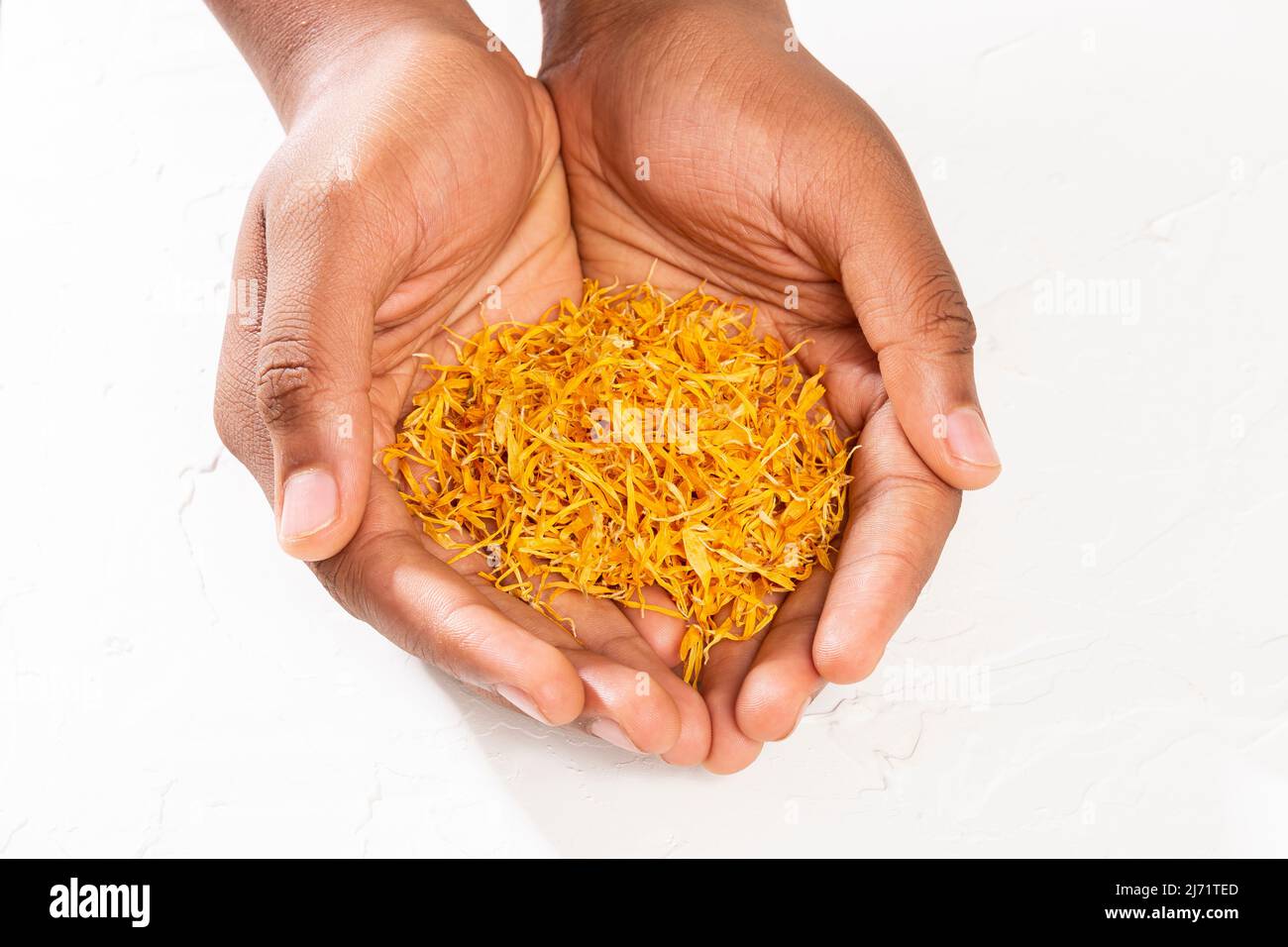 Maschio mani in mano essiccate Calendula Fiori - Calendula officinalis Foto Stock