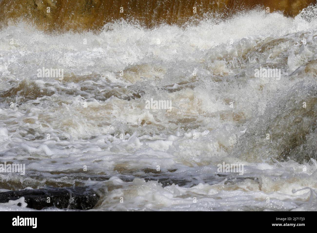 Forte corrente in un fiume selvaggio, Chateauguay River, provincia di Quebec, Canada Foto Stock