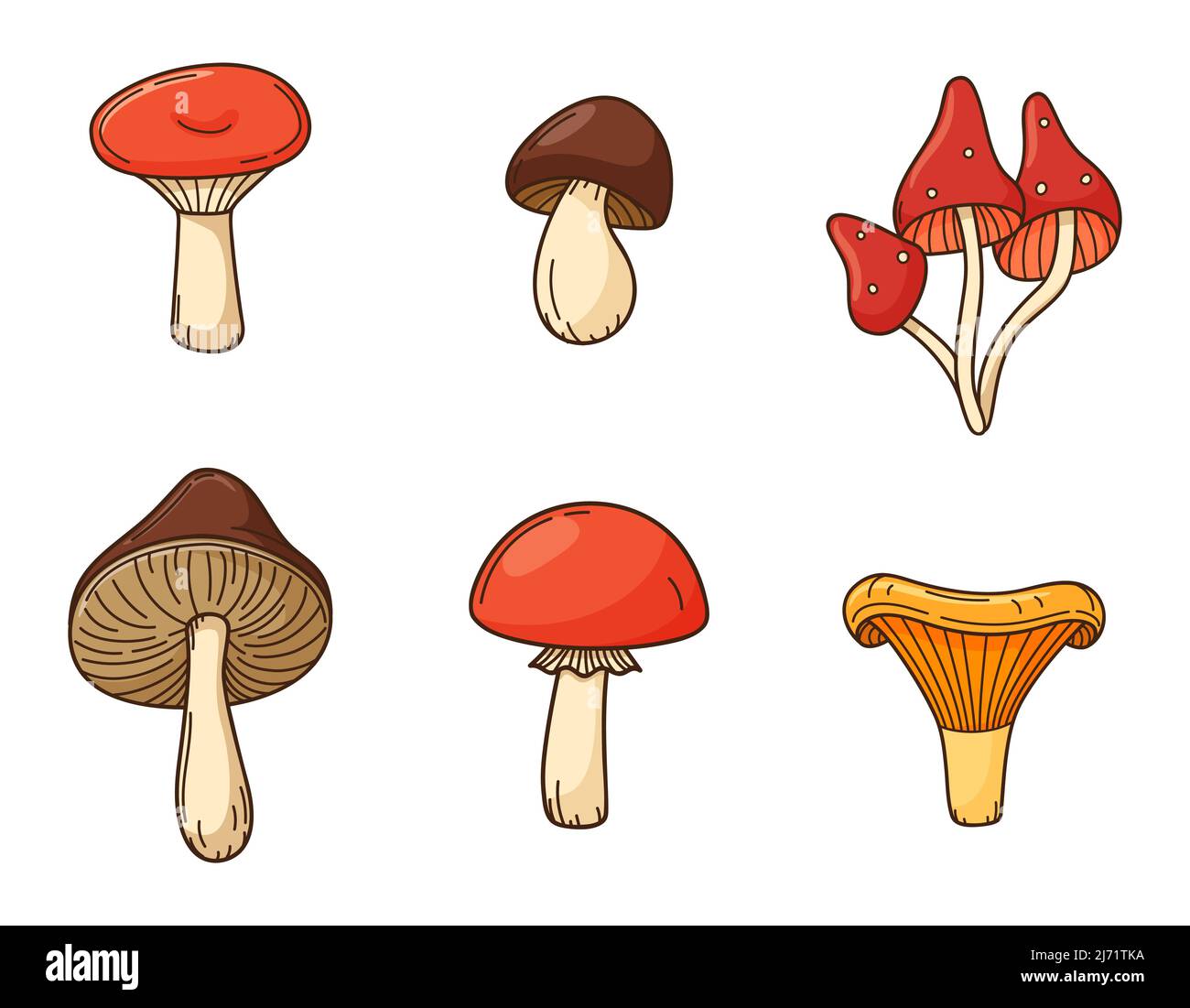 Una serie di doodles colorati di funghi. Funghi commestibili autunnali. Elementi con tratto e riempimento. Immagine vettoriale a colori isolata su sfondo bianco Illustrazione Vettoriale