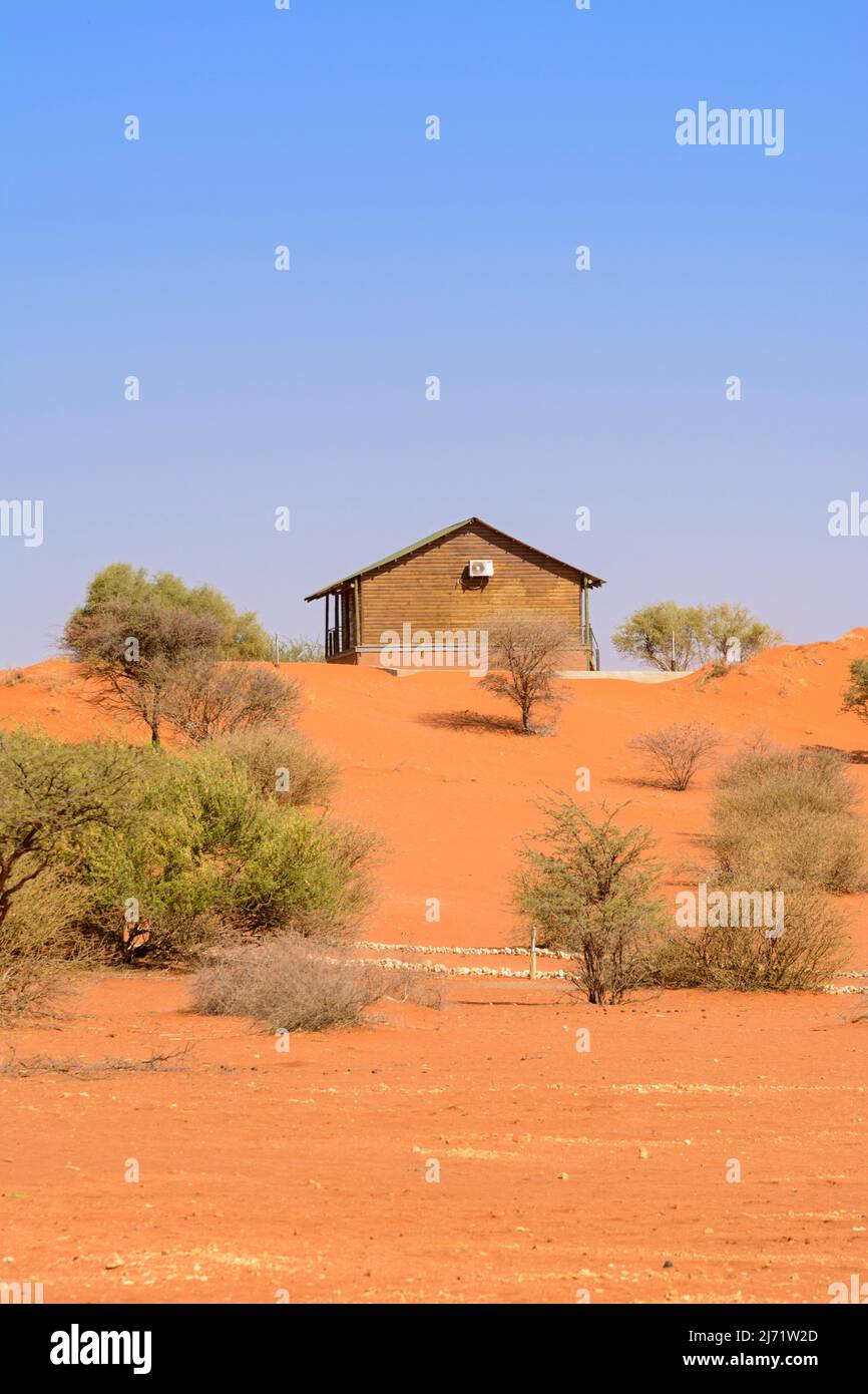 Vista paesaggio delle dune di sabbia rossa e la savana di alberi e arbusti misti di Bagatelle Kalahari Game Ranch, Kalahari Desert, Namibia, Africa Foto Stock