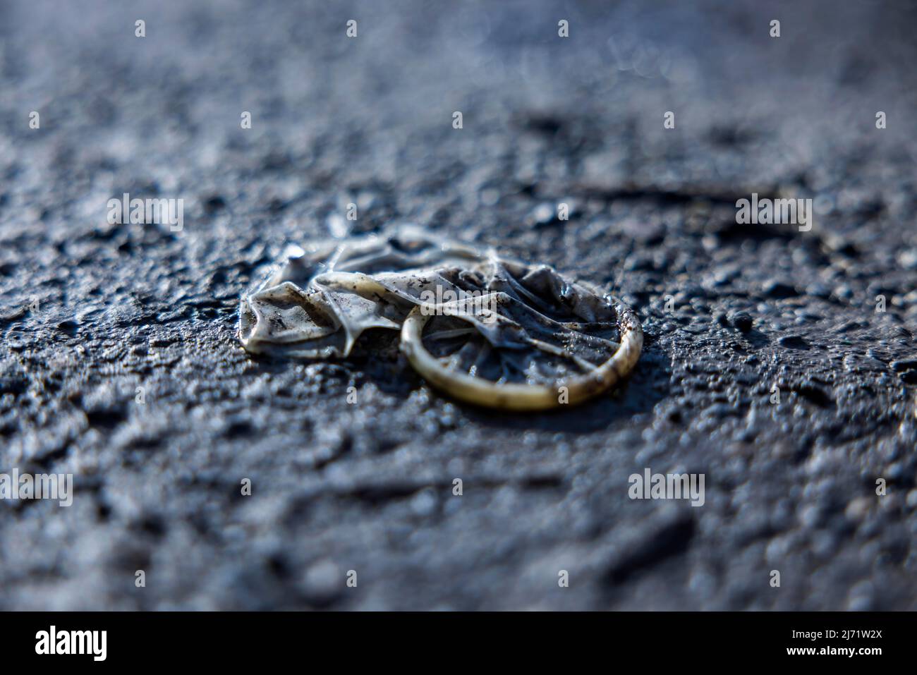 Weggeworfenes Kondom auf dem Boden, Strassenprostitution, Koeln, Nordrhein-Westfalen, Deutschland Foto Stock