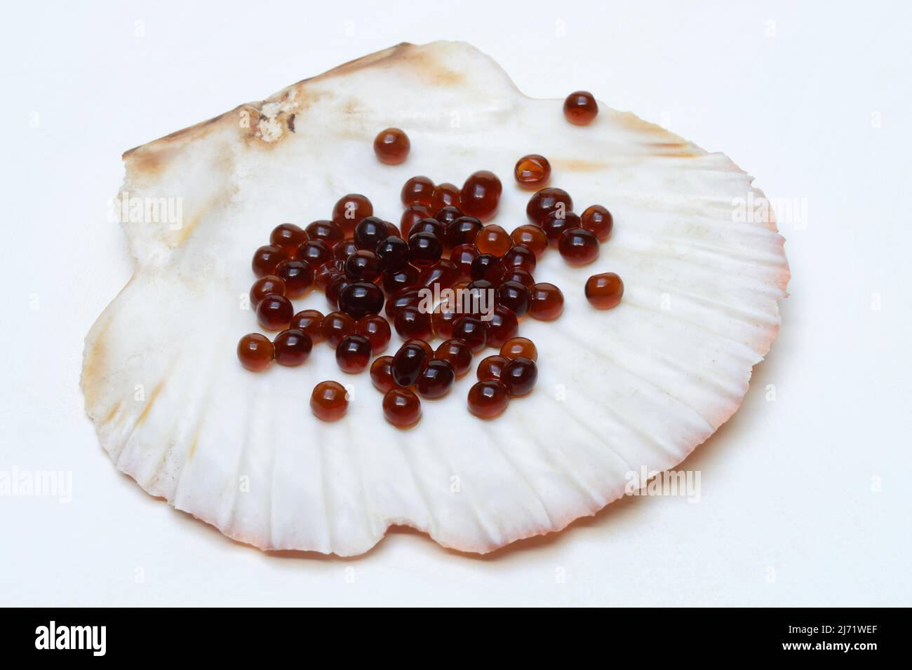 Sojasauce-Perlen a Muschelschale, Molekularkueche Foto Stock