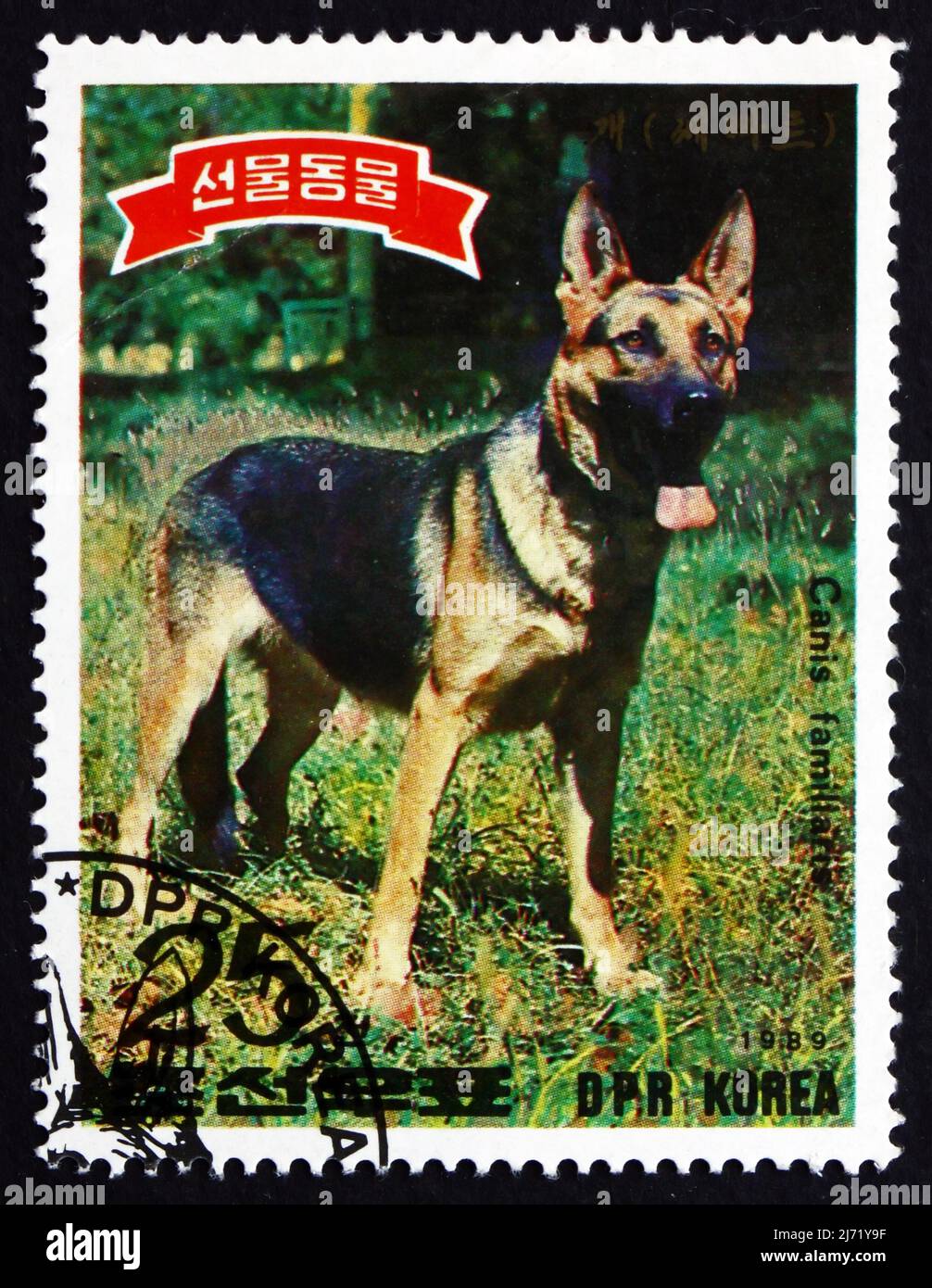 COREA DEL NORD - CIRCA 1989: Un francobollo stampato nella Corea del Nord mostra il pastore tedesco, PET presentato a Kim il Sung, circa 1989 Foto Stock