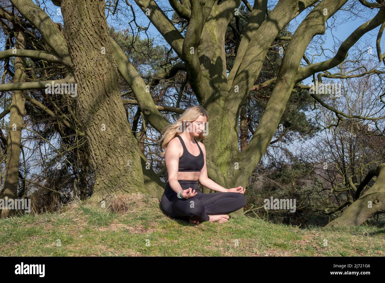 Bella donna che pratica yoga all'aperto sotto gli alberi Foto Stock