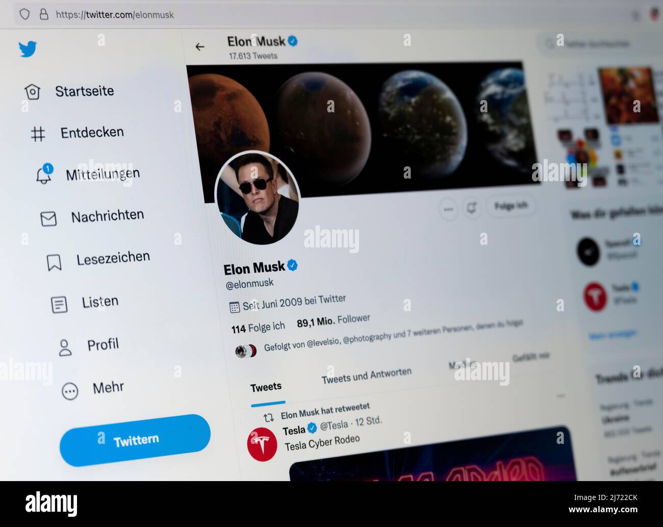 Twitter Seite des Unternehmers Elon Musk, Twitter, Soziales Netzwerk, Internet, Internetseite, Bildschirmfoto, dettaglio, Germania Foto Stock