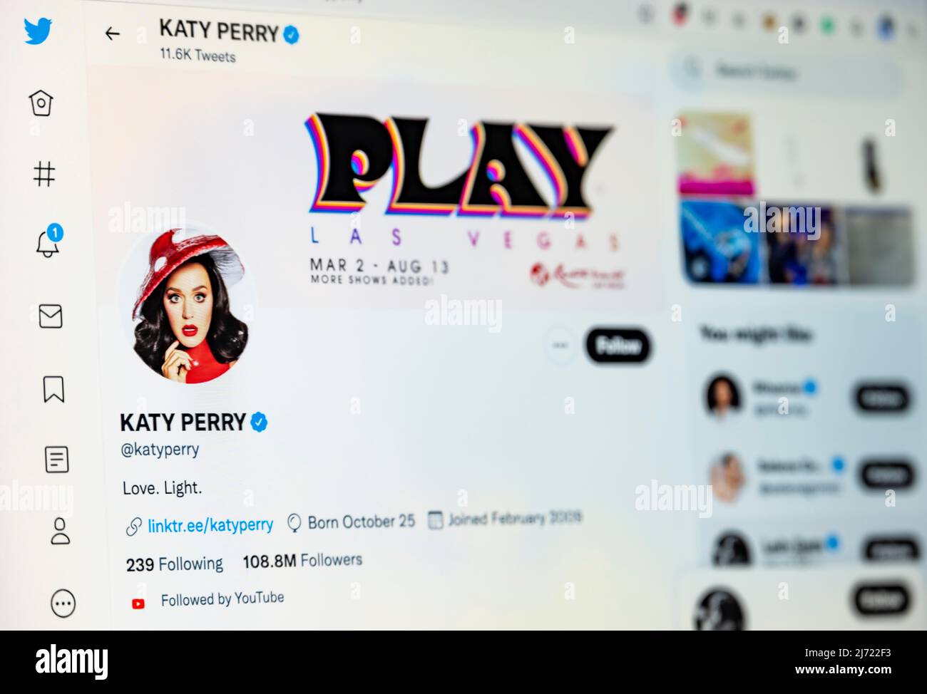 Twitter Seite der Musikerin Katy Perry, Twitter, Soziales Netzwerk, Internet, Bildschirmfoto, Dettaglio, Germania Foto Stock