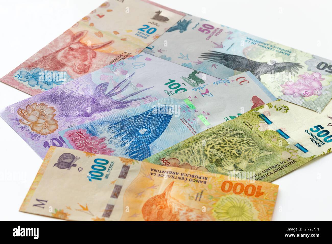 Valuta argentina, tutte le banconote della nuova serie di animali, sfondo bianco Foto Stock
