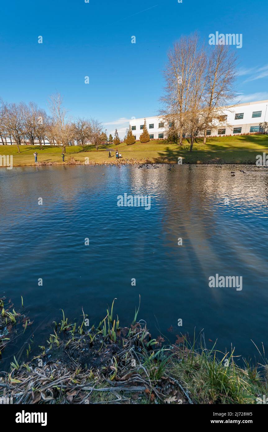 Duck Pond Park dietro la biblioteca pubblica Hillsboro Brookwood di Hillsboro, Oregon Foto Stock