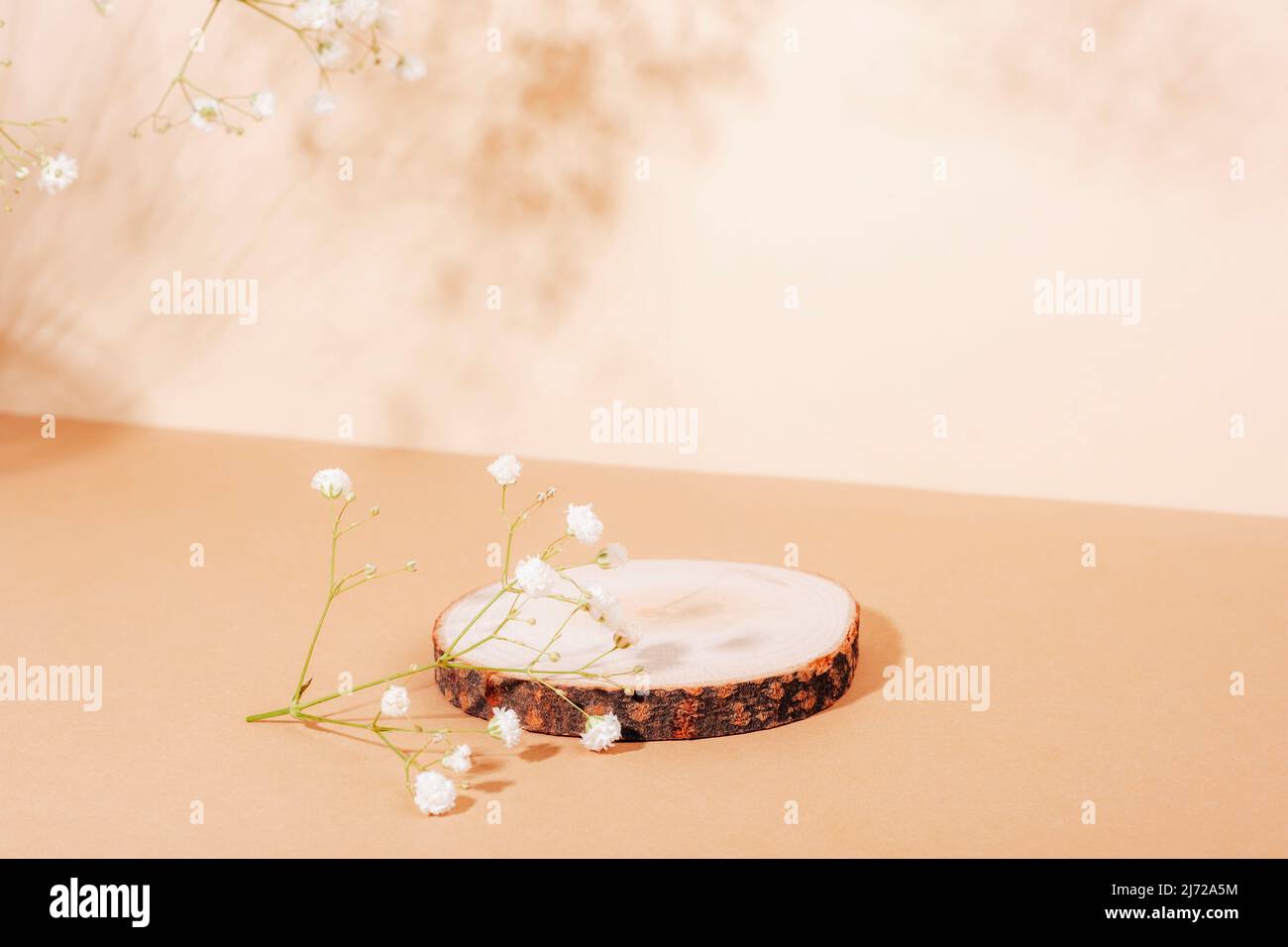 Piedistallo in legno su tavolo beige pastello con fiori di gypsofila alla luce del sole. Mock in su per profumo o cosmetic. Foto Stock