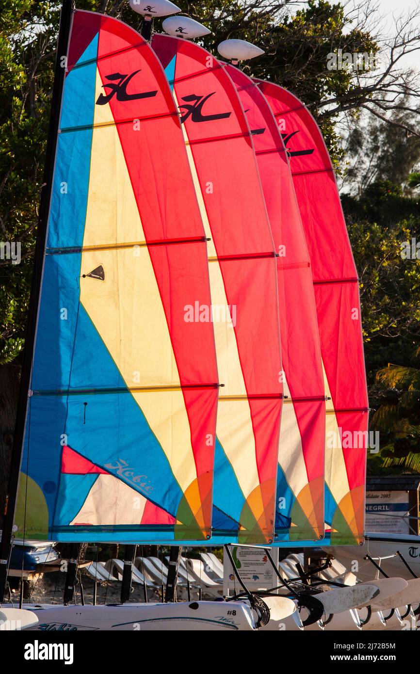 Quattro catamarani con vele colorate si sono allineati in un resort sulla spiaggia di Bloody Bay, Negril, Giamaica, in attesa dei turisti. Foto Stock
