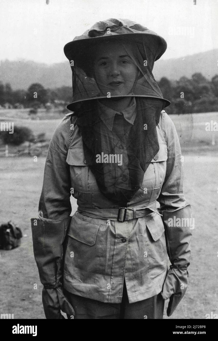 Moda in N.G. Veli - Special Outdoor Tropical Uniform sono rilasciati ai membri dell'Australian Army Medical Women's Service prima di loro ***** Australia della Nuova Guinea. La foto mostra il velo di zanzara, ***** sopra il cappello cachi a brimmetto largo. Settembre 13, 1943. Foto Stock