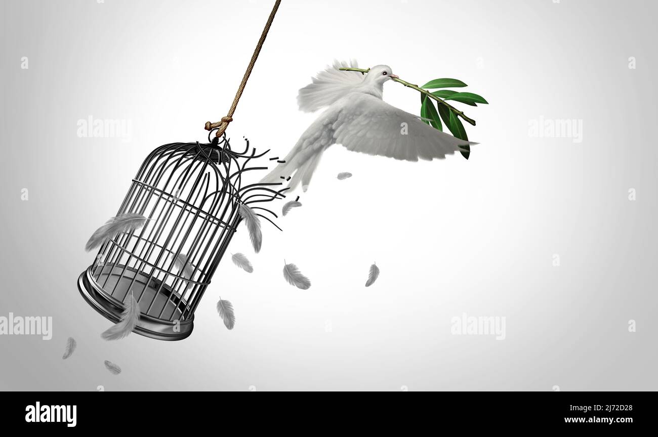 Il potere della pace e della libertà sacrifica la diplomazia o il simbolo della speranza come colomba con rami di ulivo che si rompono da una prigione di gabbia di uccelli. Foto Stock