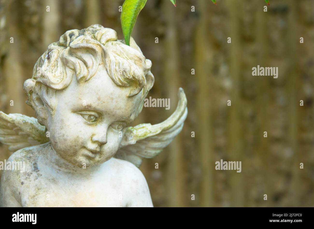 Primo piano di un angelo bianco. Momento di dolore alla fine di una vita. Ultimo addio. Concetto funerale. Foto Stock