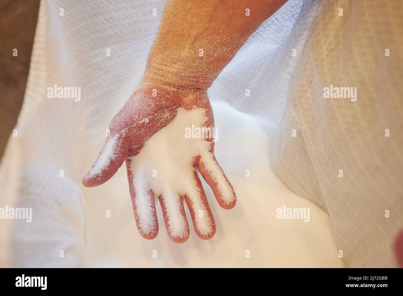 Piccolo composto nel palmo della mano in borsa aperta vista ravvicinata Foto Stock