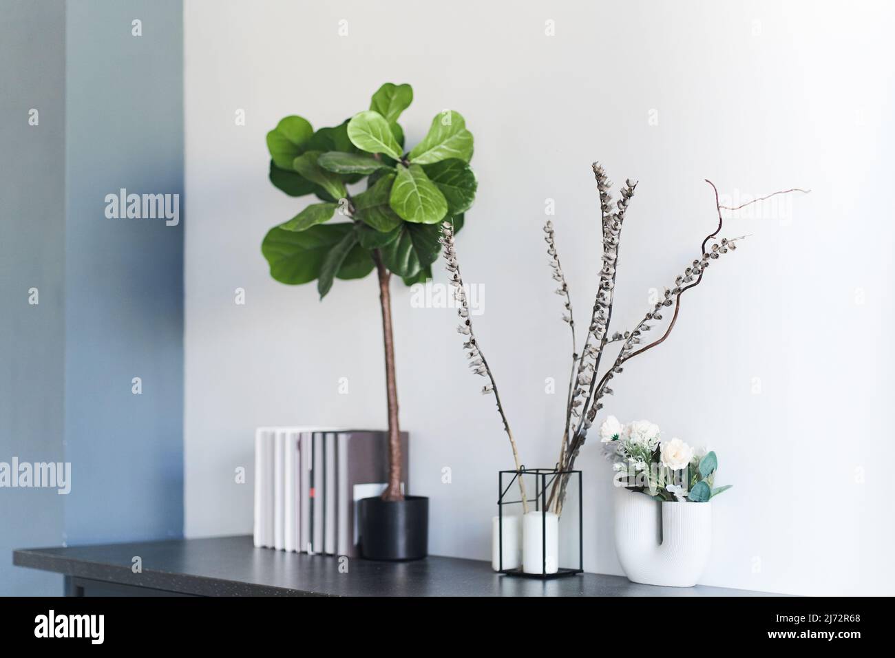 Composizione con vasi, fiori secchi, libri e una pianta di fico a forma di lira con foglie verdi. Parte dell'interno, ordine perfetto in casa. Foto di alta qualità Foto Stock