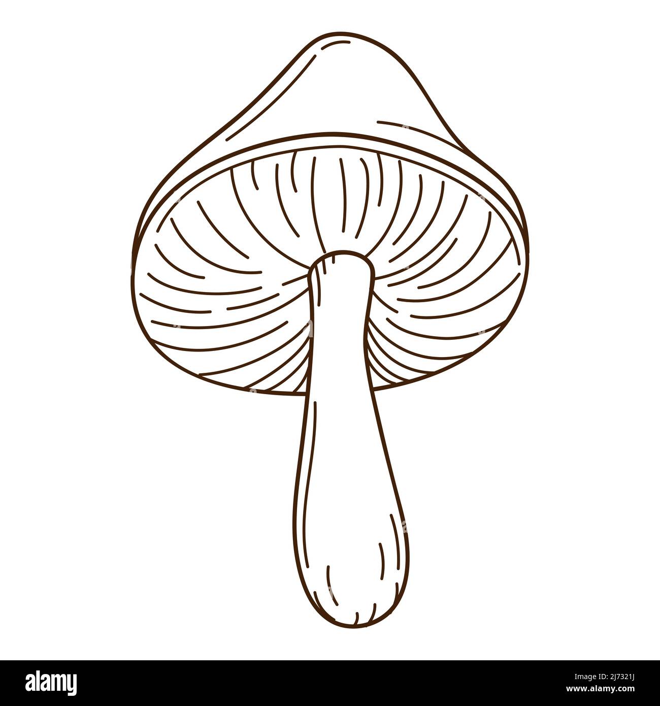 Fungo di bosco con cappuccio, betulla nera. Un simbolo della foresta, autunno, e raccolto. Elemento di progettazione con contorno. Doodle, disegnato a mano. Design piatto. BL Illustrazione Vettoriale