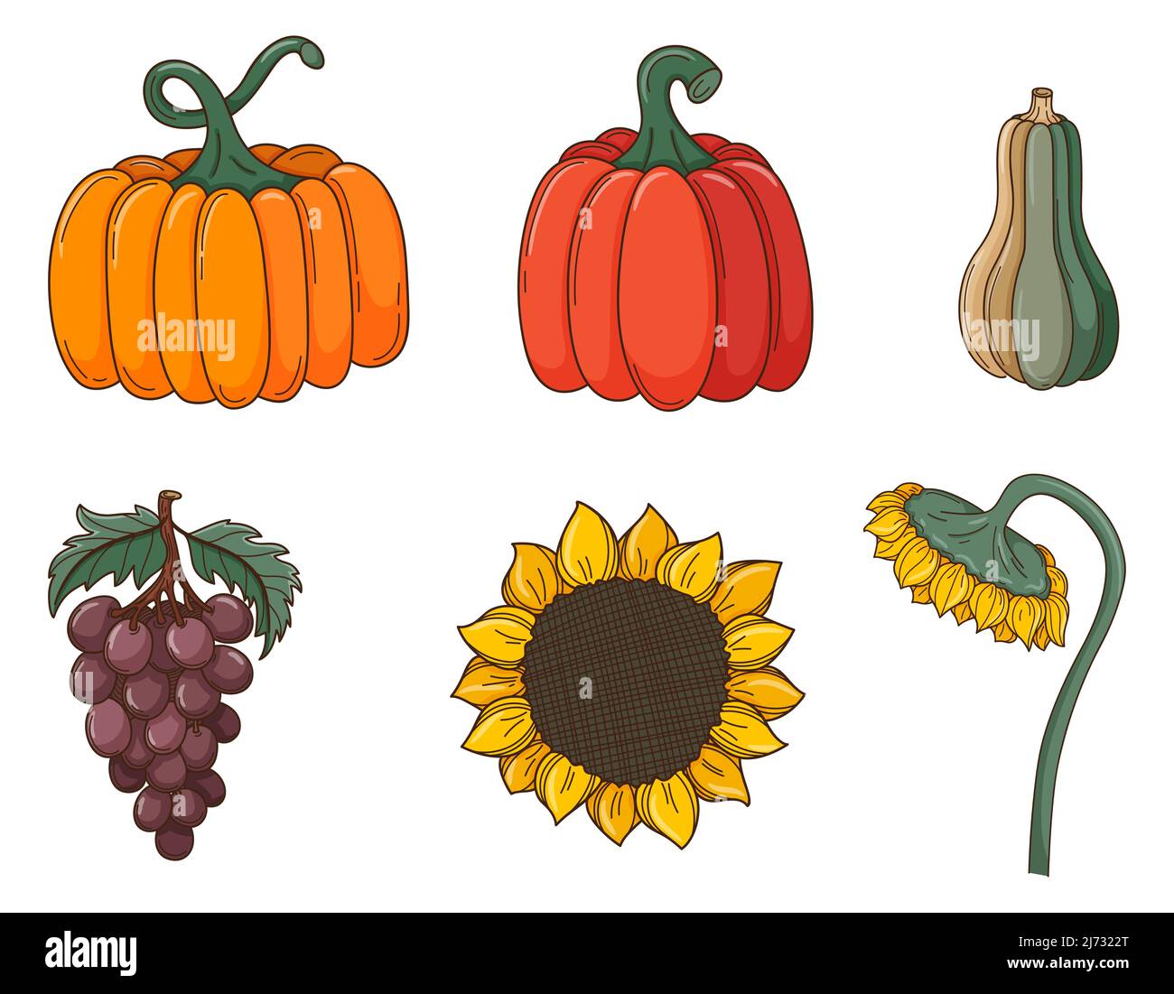 Una serie di doodles colorati. Diverse zucche, girasoli, uva, colture. Elementi decorativi autunnali con contorno e riempimento. Illustrazione vettoriale dei colori i Illustrazione Vettoriale