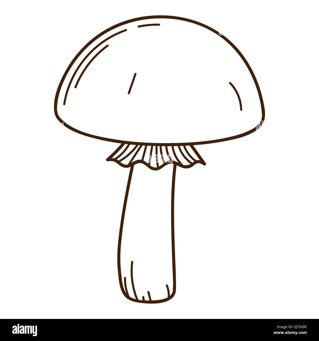 Fungo di bosco con cappuccio, betulla nera. Un simbolo della foresta, autunno, e raccolto. Elemento di progettazione con contorno. Doodle, disegnato a mano. Design piatto. BL Illustrazione Vettoriale