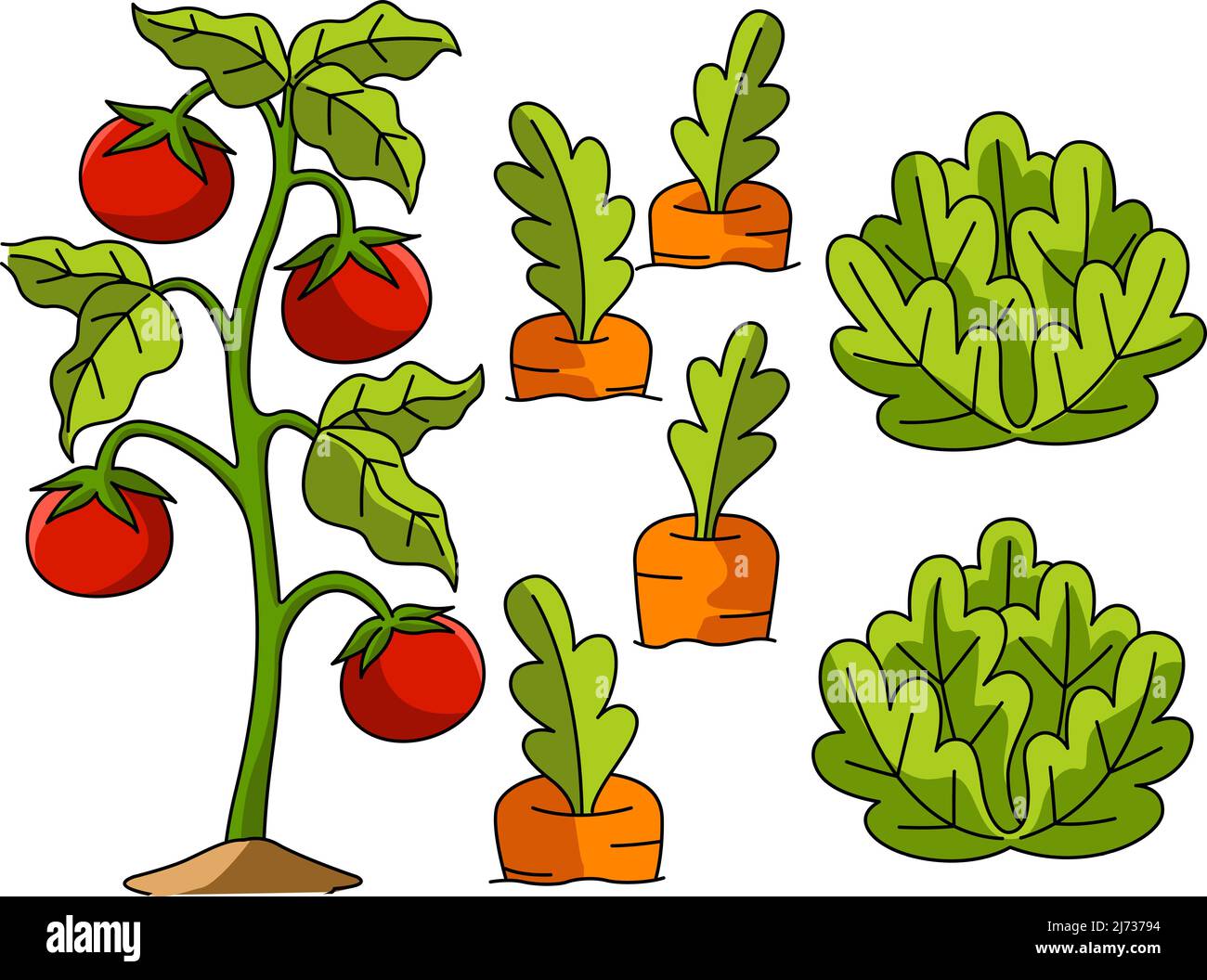 Campo vegetale Cartoon Coloured Clipart Illustrazione Vettoriale