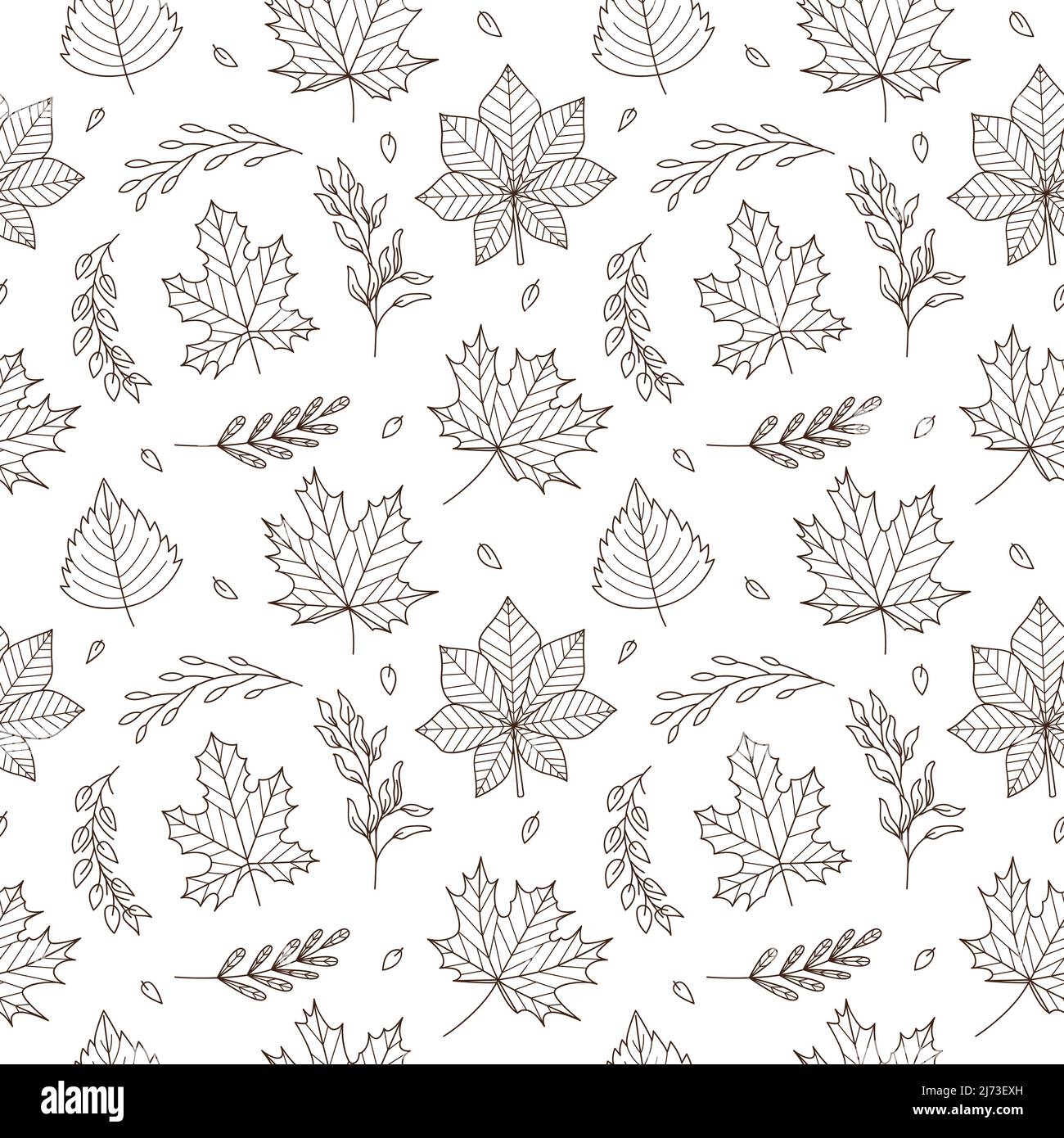 Modello senza cuciture con foglie e ramoscelli autunnali. Acero, quercia, castagno, aspen, betulla.sfondo monocromatico con elementi botanici a profilo lineare. B Illustrazione Vettoriale