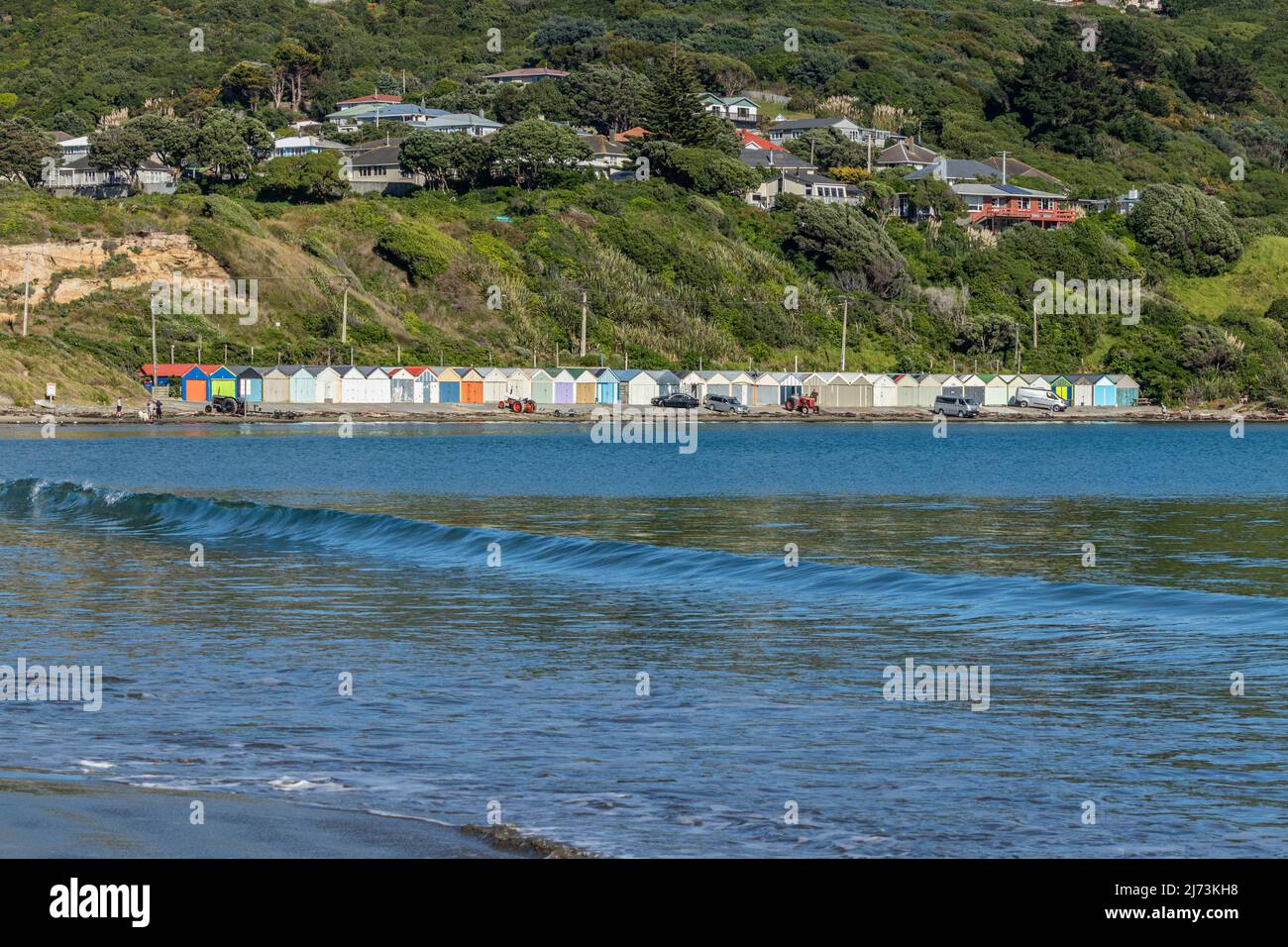 Attività autunnali alla spiaggia di Titahi Bay Foto Stock