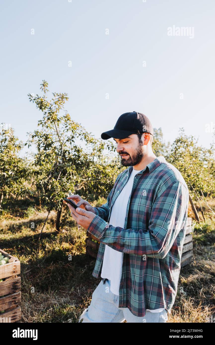 Giovane contadino latino che usa il telefono accanto alla piantagione di mele. Concetto agricolo. Nomade digitale Foto Stock