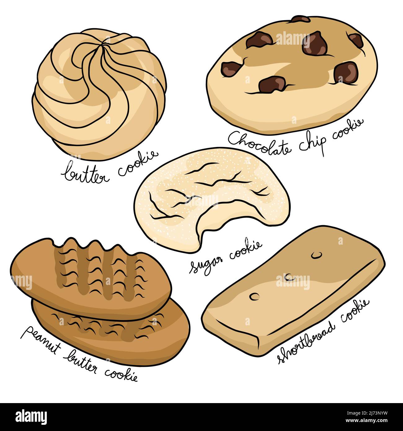Illustrazione del vettore dei tipi di varietà di cookie Illustrazione Vettoriale Illustrazione del vettore dei tipi di varietà di cookie Illustrazione Vettoriale