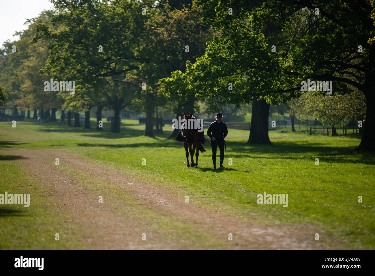 Badminton, Gloucestershire, Regno Unito. 6th maggio 2022. Un cavallo che si esercita prima del giorno 2 dei 2022 Badminton Horse Trials presentati da MARS a Badminton House vicino Bristol, Gloucestershire, Inghilterra, Regno Unito. Jonathan Clarke / Alamy Live News Foto Stock