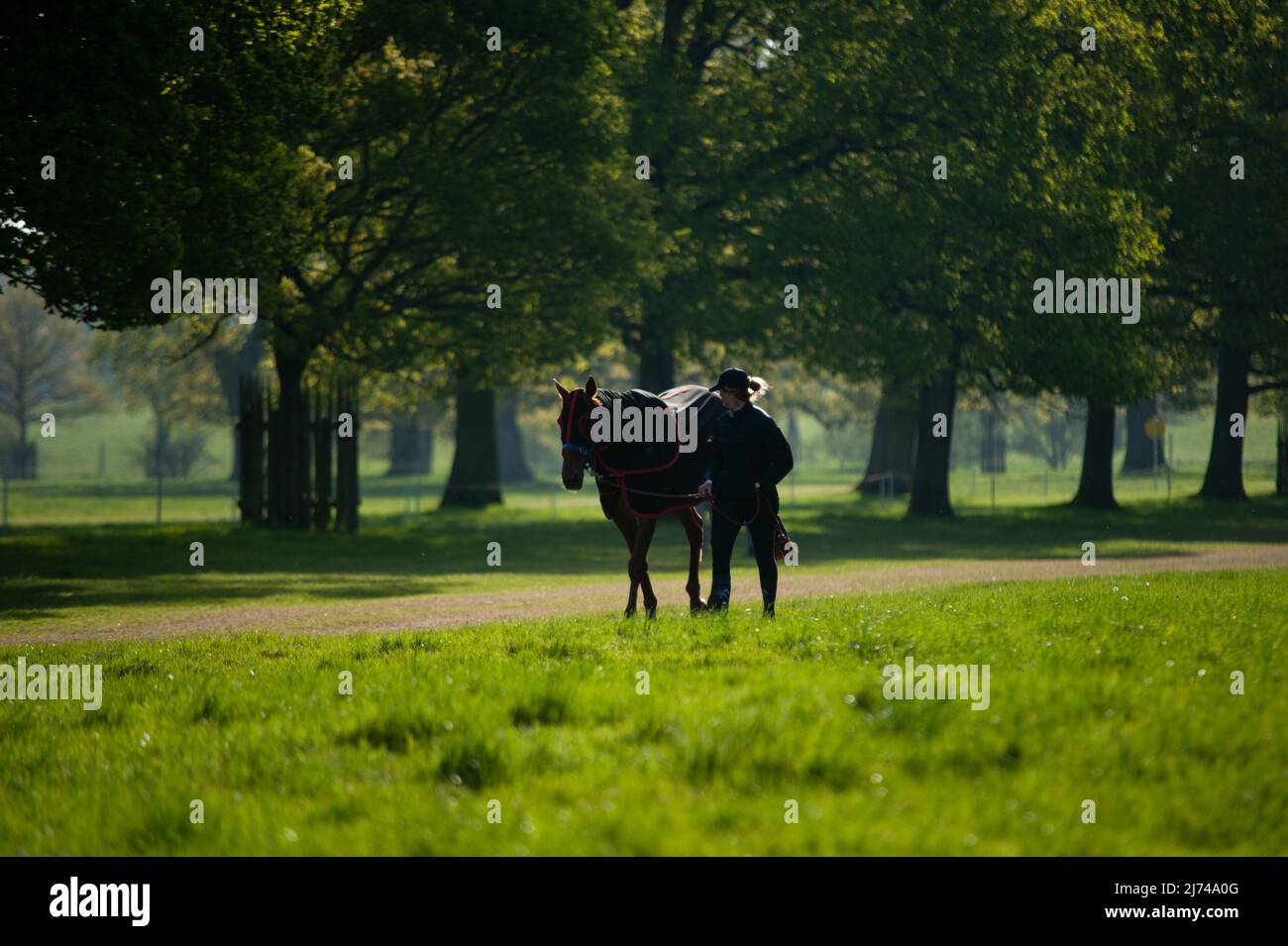 Badminton, Gloucestershire, Regno Unito. 6th maggio 2022. Un cavallo che si esercita prima del giorno 2 dei 2022 Badminton Horse Trials presentati da MARS a Badminton House vicino Bristol, Gloucestershire, Inghilterra, Regno Unito. Jonathan Clarke / Alamy Live News Foto Stock