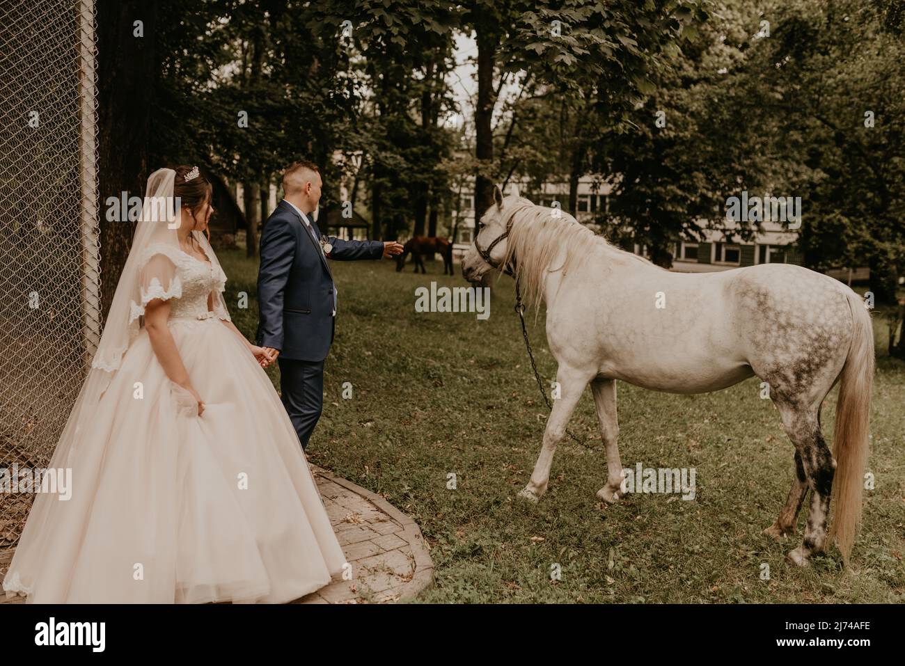 Il giovane uomo biondo caucasico europeo sposa in abito blu e donna dai capelli neri sposa in abito da sposa bianco con velo lungo e tiara sulla testa. Sposi novelli Foto Stock