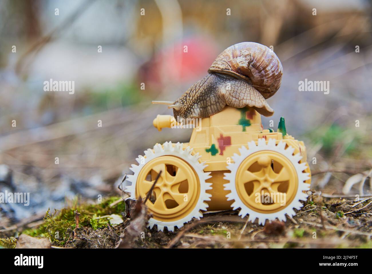 Una grande lumaca giardino su un serbatoio giocattolo giallo chiaro su uno sfondo sfocato. Foto Stock