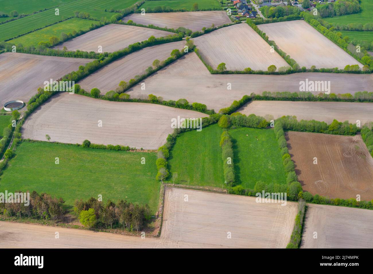 Terreno agricolo in primavera, vista aerea, 05/10/2020, Germania, Schleswig-Holstein Foto Stock