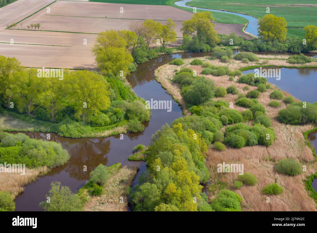 Riserva naturale Haaler Au, vista aerea, 05/10/2020, Germania, Schleswig-Holstein Foto Stock