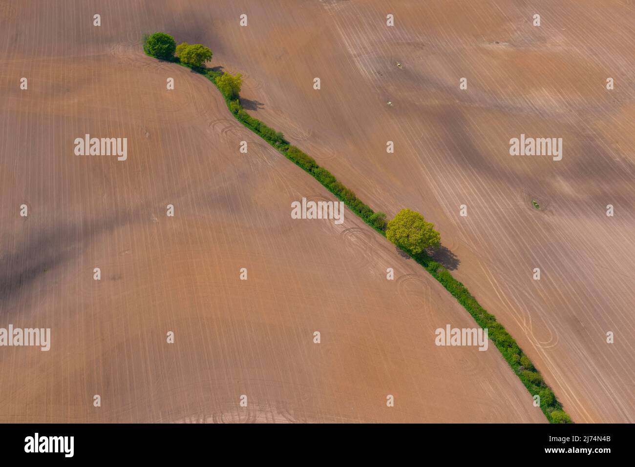 Paesaggio di campo con area verde, vista aerea, 05/10/2020, Germania, Schleswig-Holstein Foto Stock