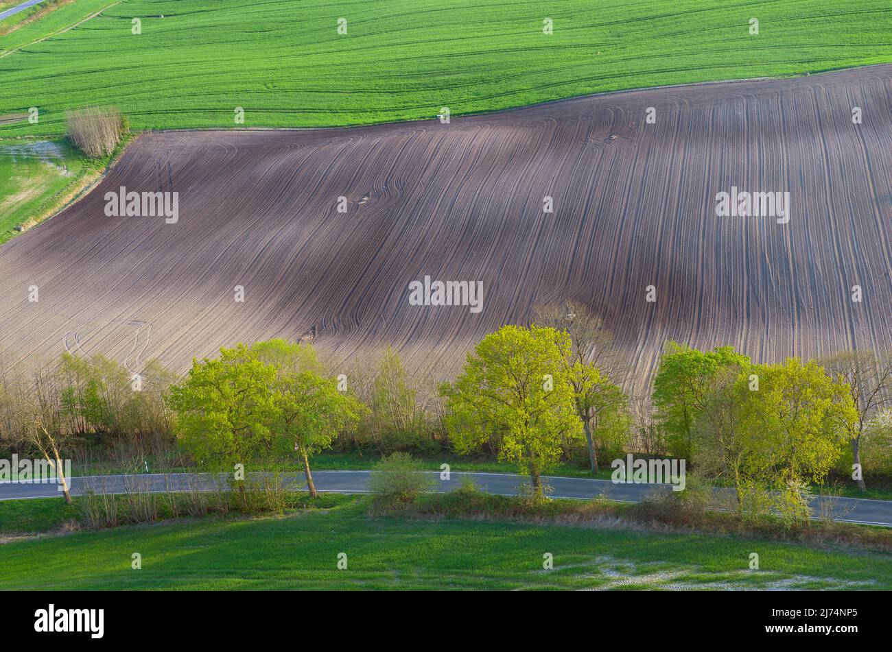 Terreno agricolo in primavera, vista aerea, 05/10/2020, Germania, Schleswig-Holstein Foto Stock