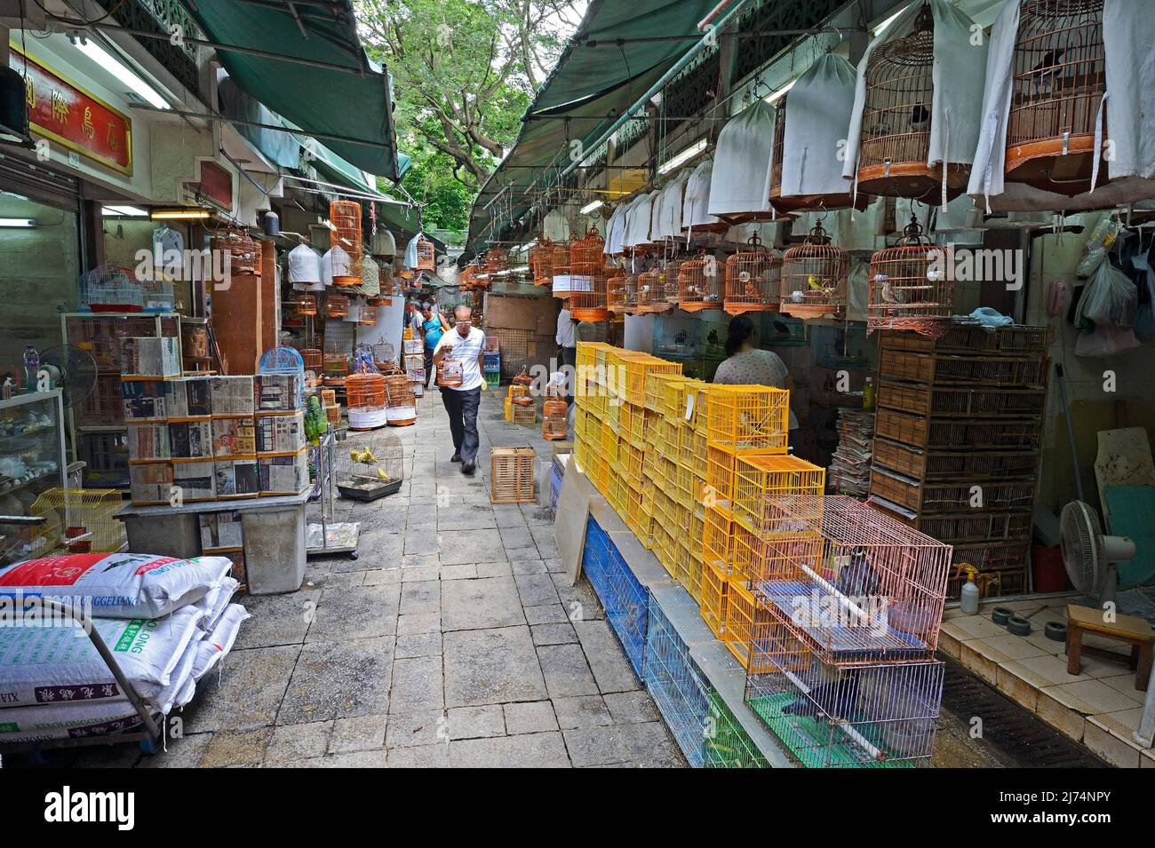 Uccelli e gabbie di uccelli al mercato degli uccelli a Kowloon, Cina, Hong Kong Foto Stock