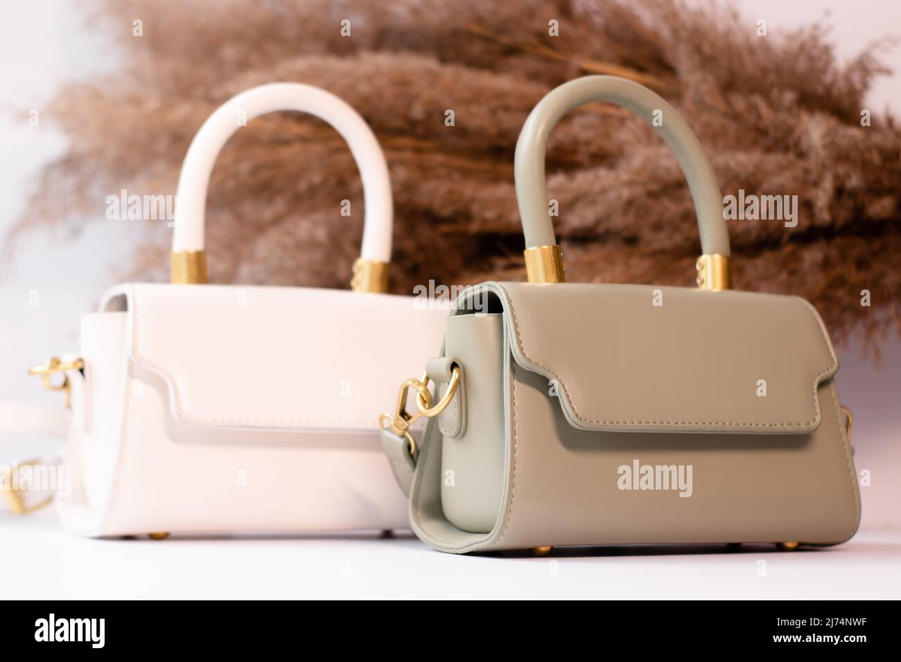 foto di moda di due borse. borsa donna beige e verde con catena d'oro su sfondo di pampas erba o fiori secchi. isolato su sfondo bianco Foto Stock