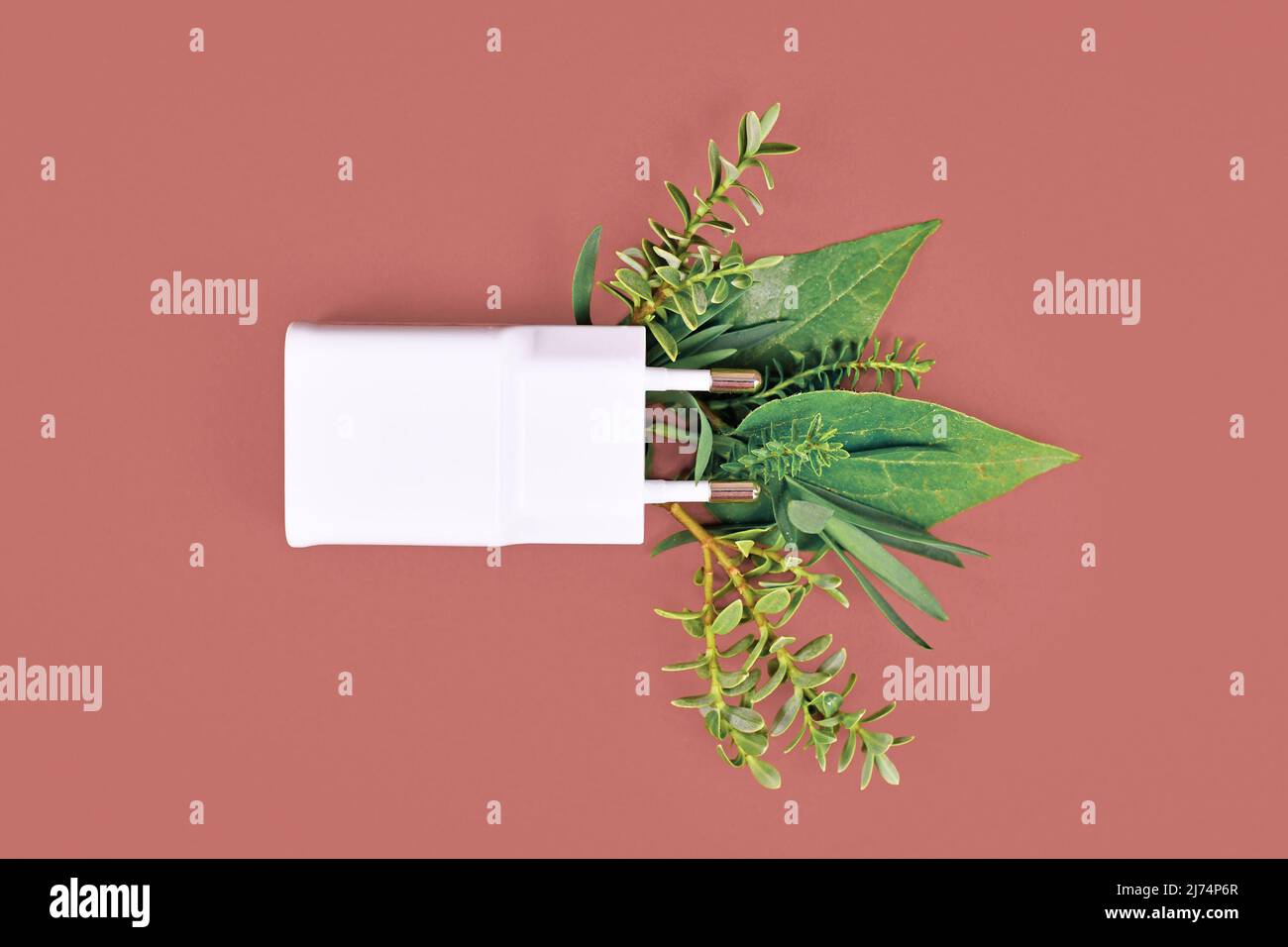 Concetto di energia rinnovabile con spina elettrica con foglie naturali Foto Stock