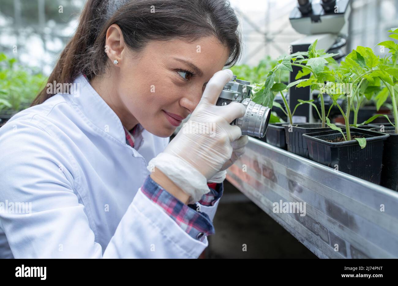Agronomo donna piuttosto giovane che prende i colpi di piantina in vaso di fiori con macchina fotografica per la ricerca di crescita delle piante e l'impatto chimico sulla protezione in gre Foto Stock