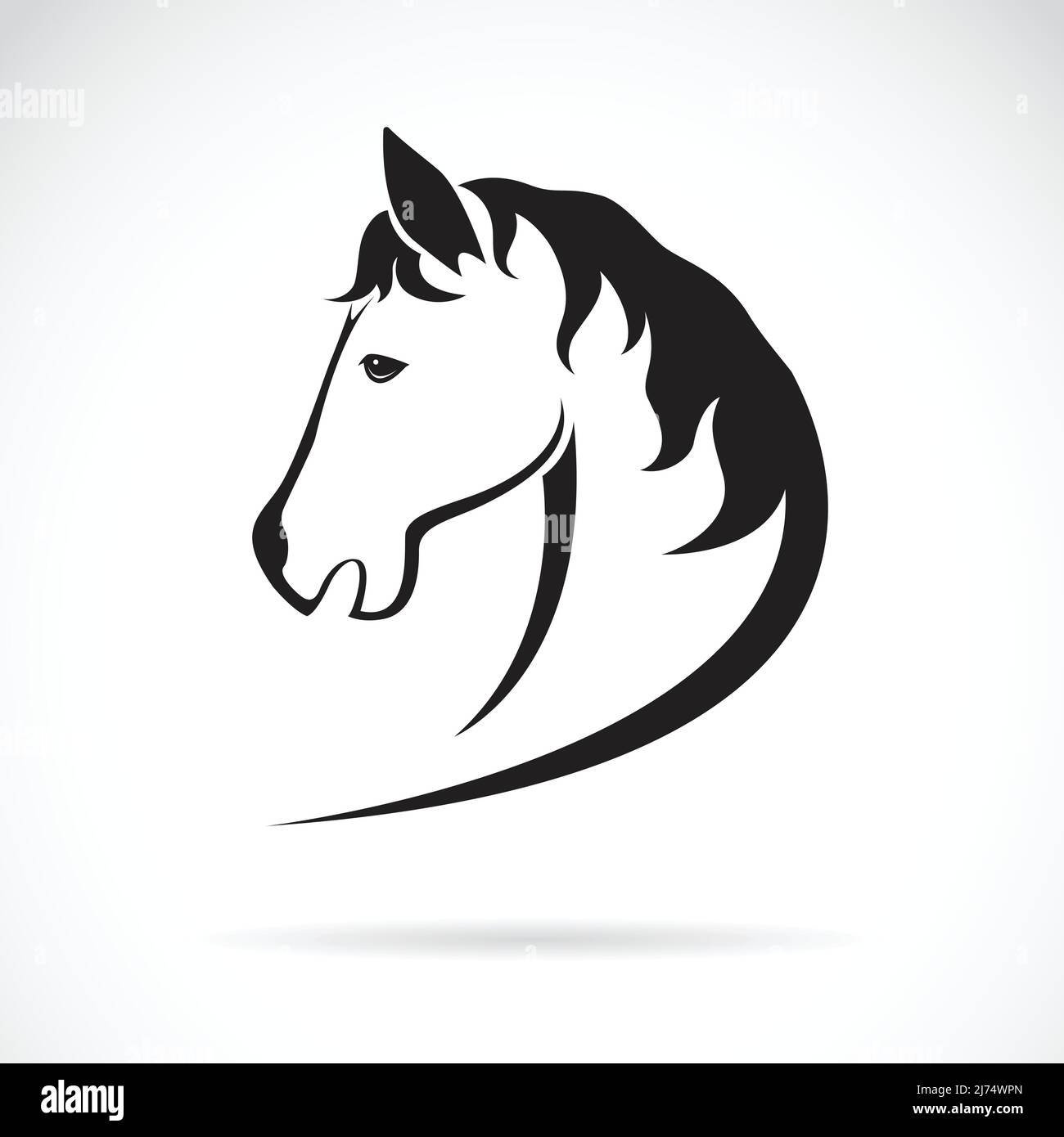 Immagine vettoriale di un disegno a testa di cavallo su sfondo bianco. Illustrazione Vettoriale