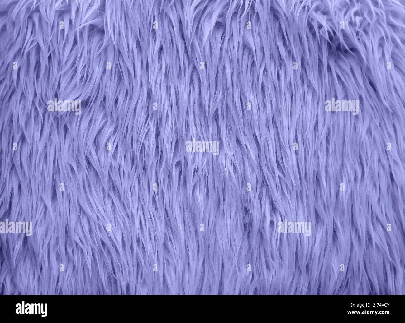 Molto peri - colore dell'anno 2022. Sfondo in pelliccia di colore alla moda. Futuristico sfondo viola morbido. Foto Stock