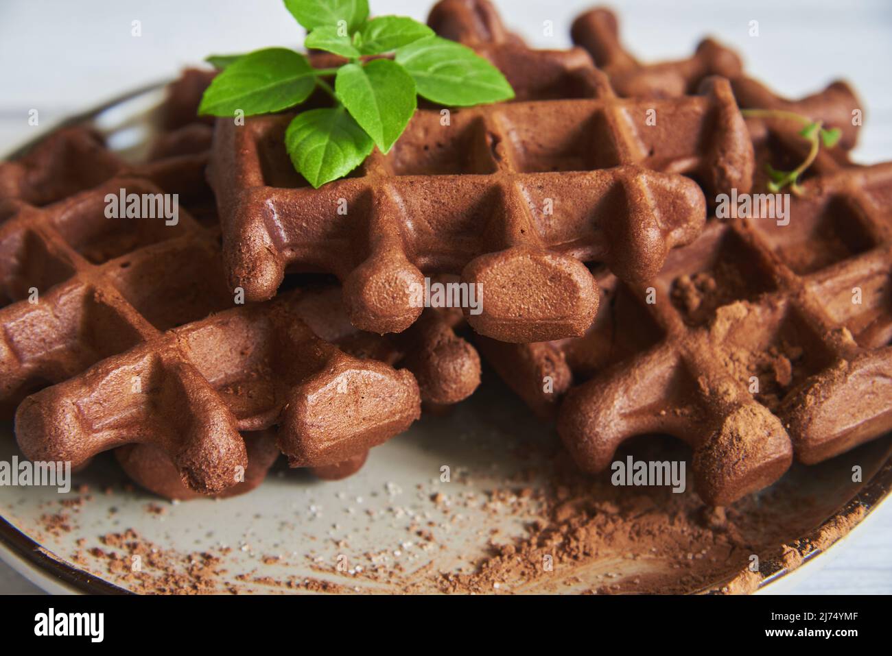 Deliziosi waffle belgi al cioccolato su un piatto di ceramica su un ripiano di legno chiaro. Messa a fuoco selettiva. Foto Stock