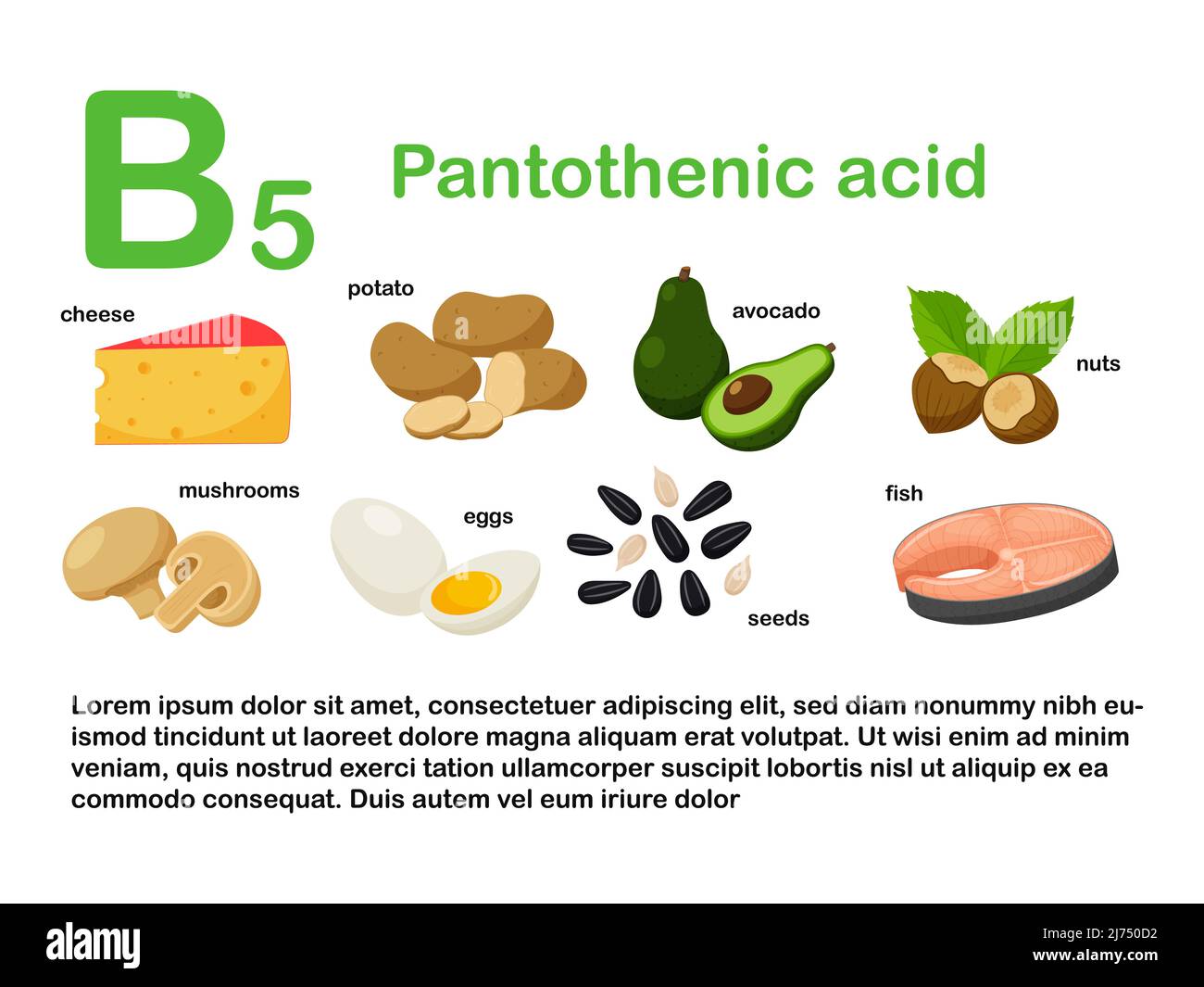 Poster rettangolare con prodotti alimentari contenenti vitamina B5. Acido pantotenico. Medicina, dieta, alimentazione sana, infografica. Prodotti con il nome.Fl Illustrazione Vettoriale