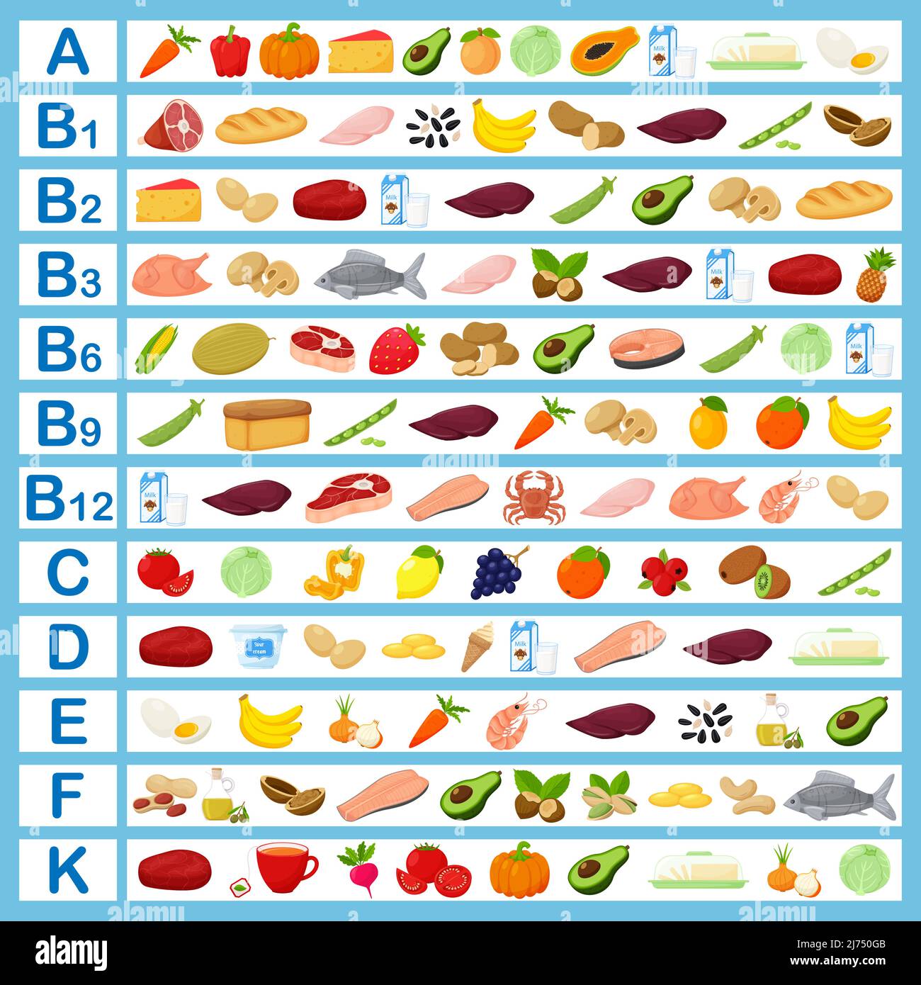 Una tabella con vitamine e cibo che li contiene. Illustrazioni cartoni animati piatte. Infografica, cibo sano, cibi sani, dieta. Illustrazione vettoriale a colori Illustrazione Vettoriale