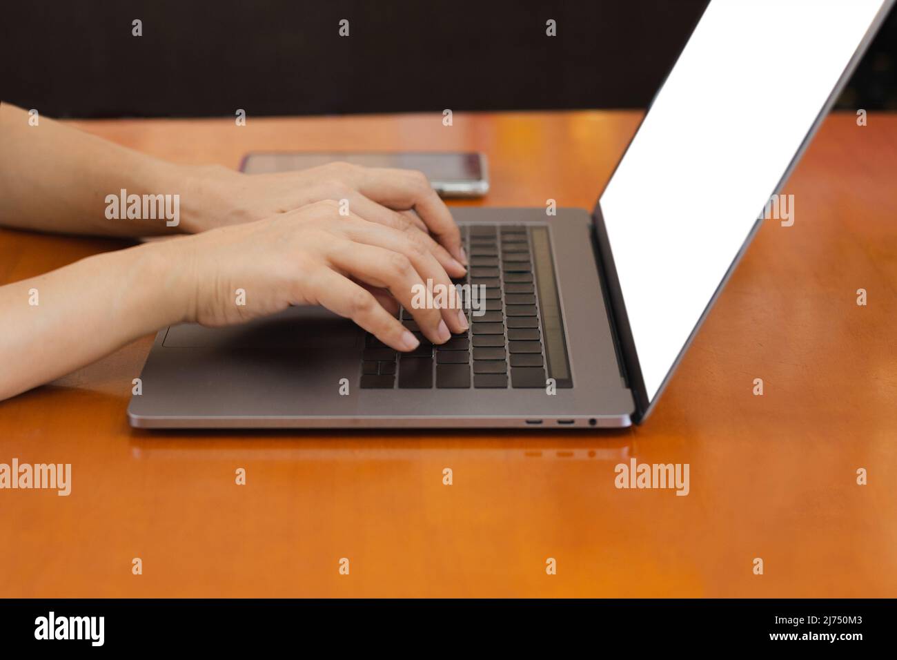 La donna digita sulla tastiera del laptop seduta sul tavolo vicino alla finestra a casa. Foto Stock