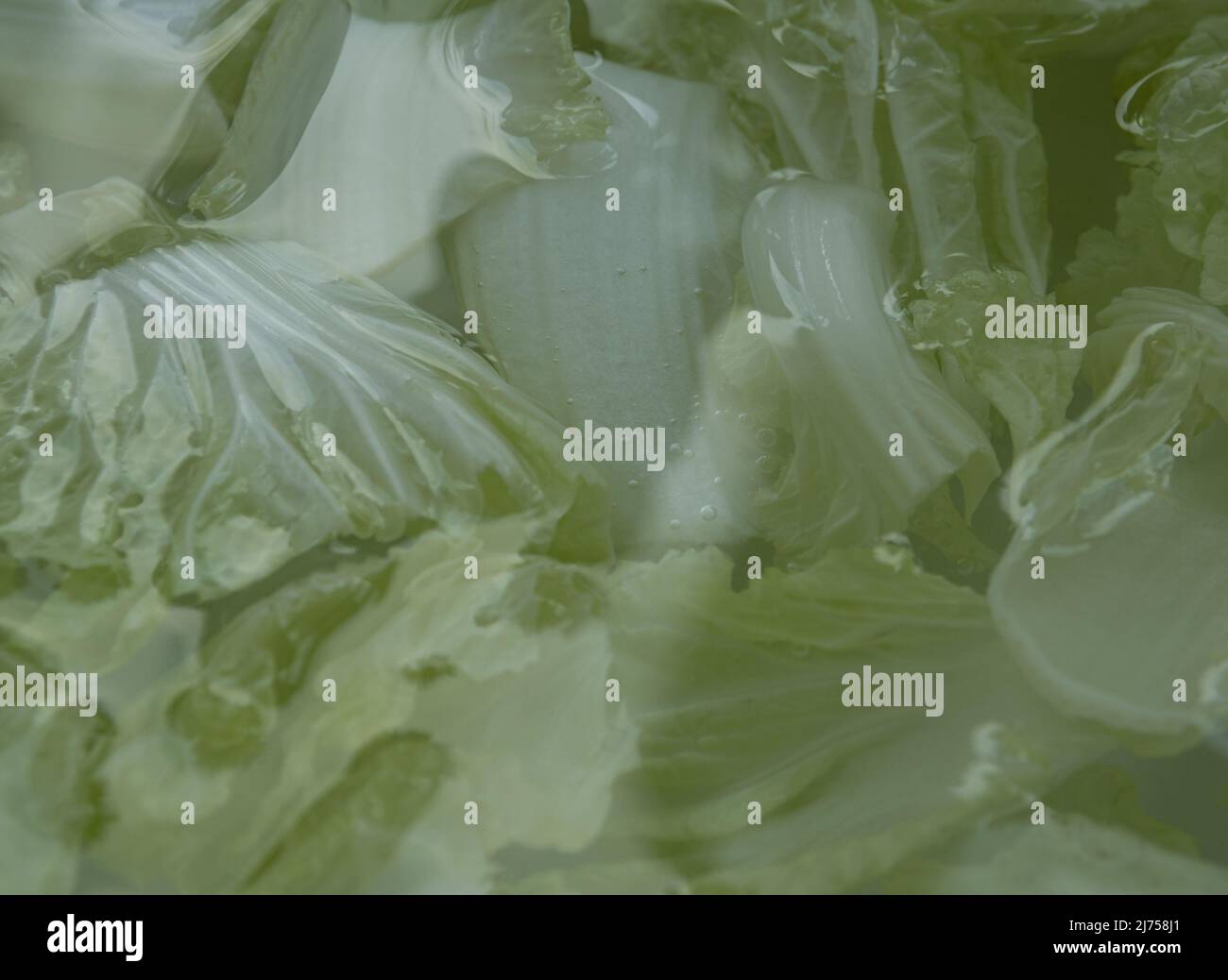 Tagliare a pezzi il cavolo bianco immerso in acqua Foto Stock