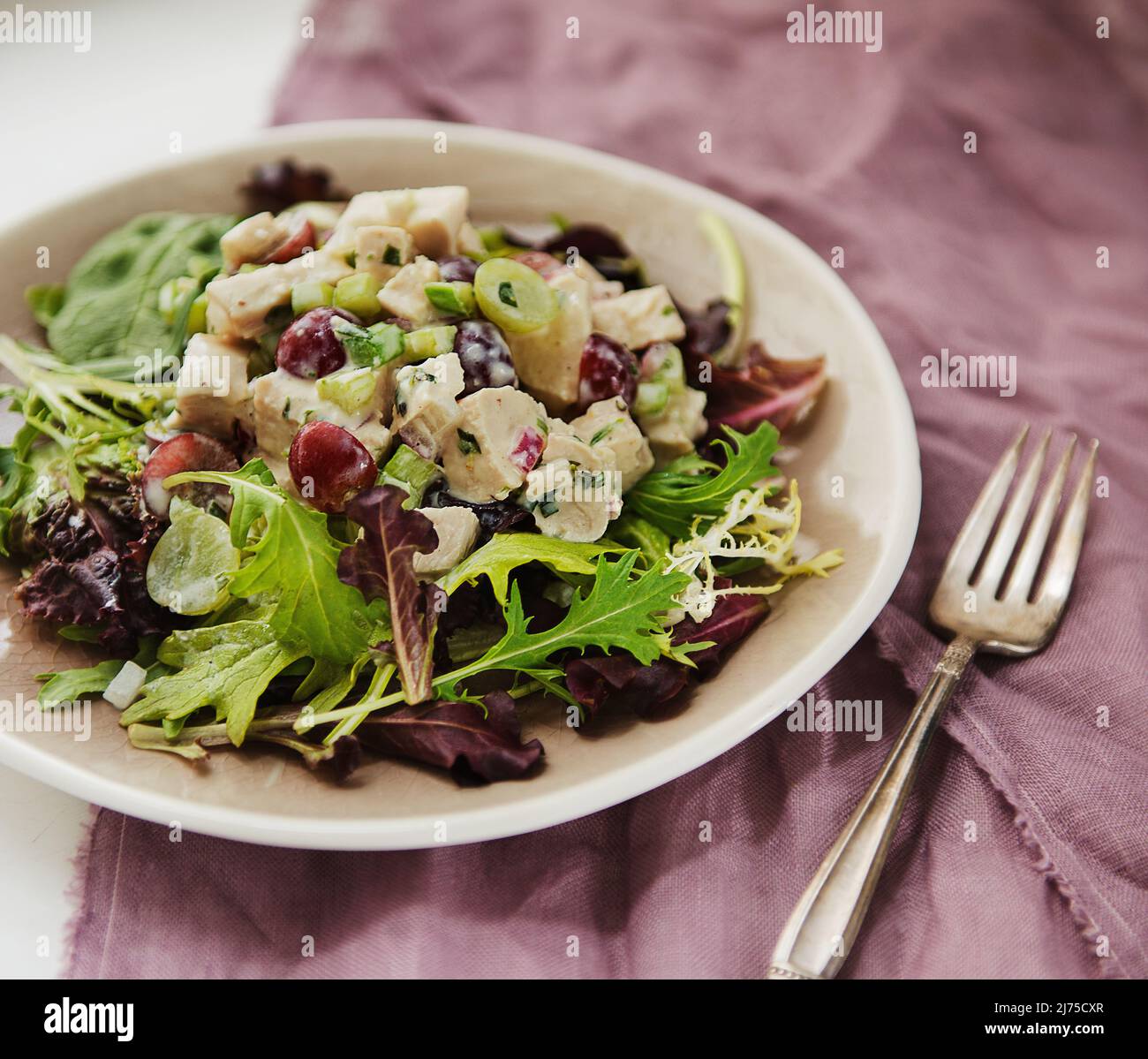 insalata di pollo con verdure miste, sedano e uva Foto Stock