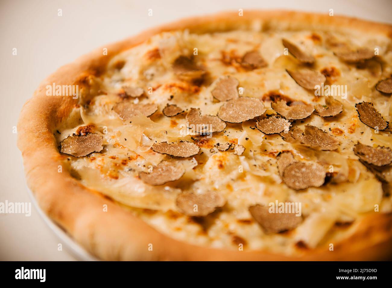 Pizza al tartufo nero con salsa besciamella e formaggi italiani Foto Stock