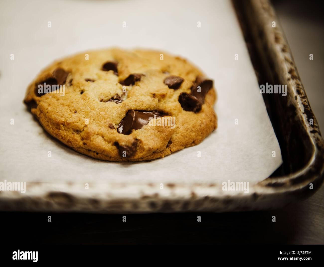 biscotti con pezzetti di cioccolato seduti su una teglia da forno Foto Stock