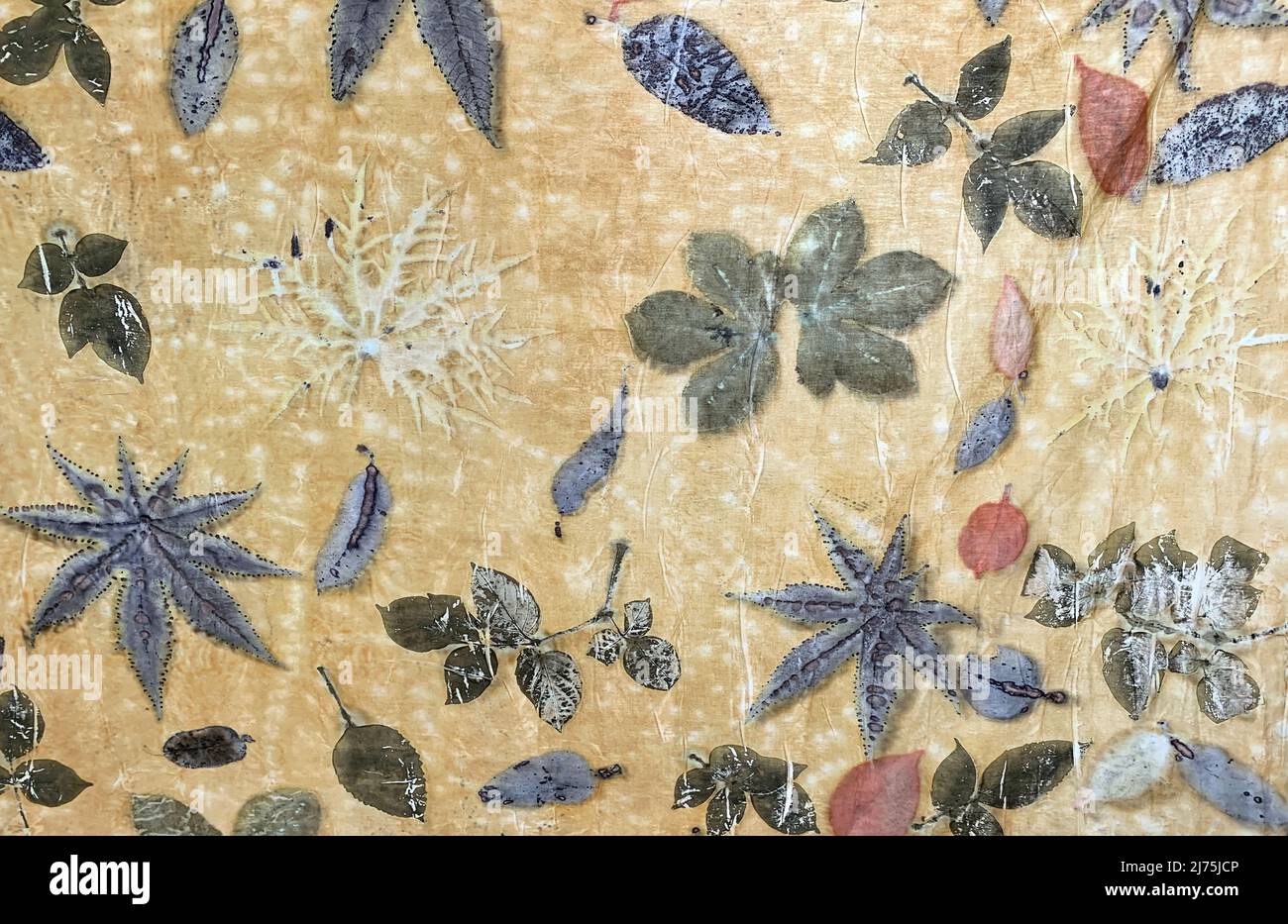 Yogyakarta, Indonesia - 11 dicembre 2021: Stampa ecologica, facendo un motivo con foglie e fiori su un pezzo di tessuto, a Yogyakarta, Indonesia Foto Stock
